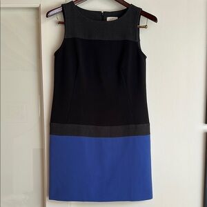 Ann Taylor Loft Sleeveless Dress